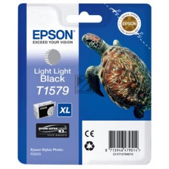 Epson Tintenpatrone schwarz light, light (C13T15794010, T1579)
