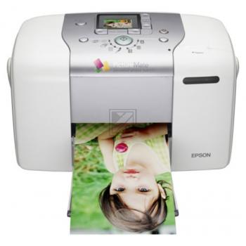 Epson Picture Mate E 100 Epson Picture Mate E 100