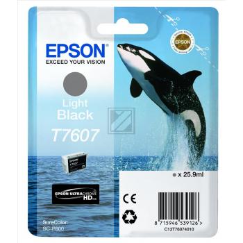 Epson Tintenpatrone schwarz light (C13T76074010, T7607)