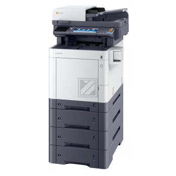 TA P-C 3066