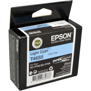 Epson Tintenpatrone cyan light (C13T46S500, T46S5)