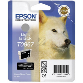 Epson Tintenpatrone schwarz light (C13T09674010, T0967)