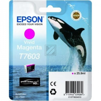 Epson Tintenpatrone magenta (C13T76034010, T7603)