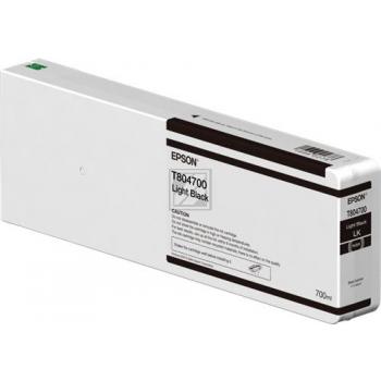 Epson Tintenpatrone schwarz light HC (C13T804700, T8047)