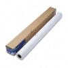 Epson Singleweight Matte Paper Roll 17\