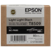 Epson Tintenpatrone schwarz light (C13T850900, T8509)