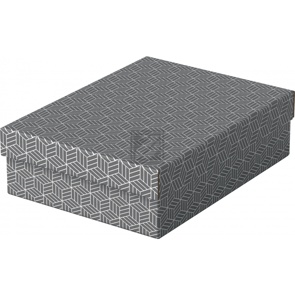Esselte Aufbewahrungs- & Geschenkbox Home M, 3er Set, grau
