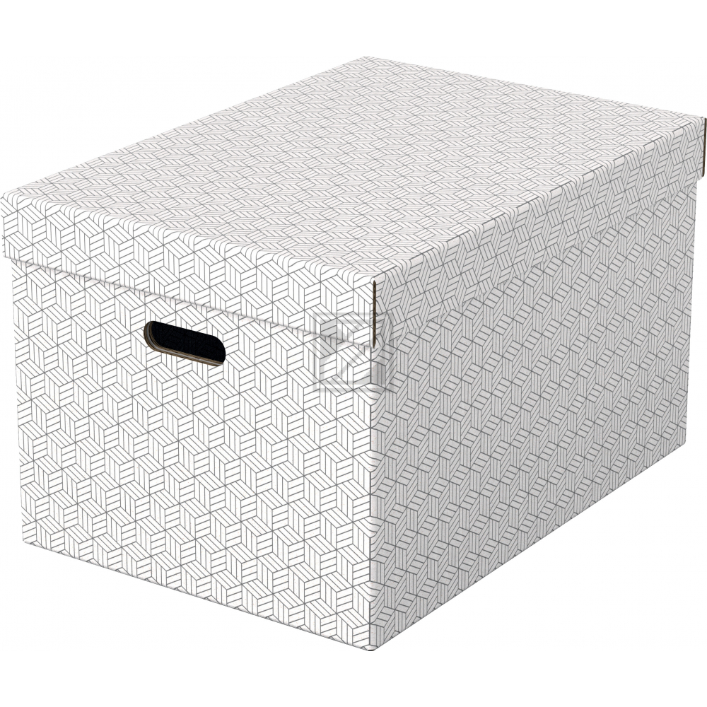 Esselte Aufbewahrungsbox Home L, 3er Set, wei?