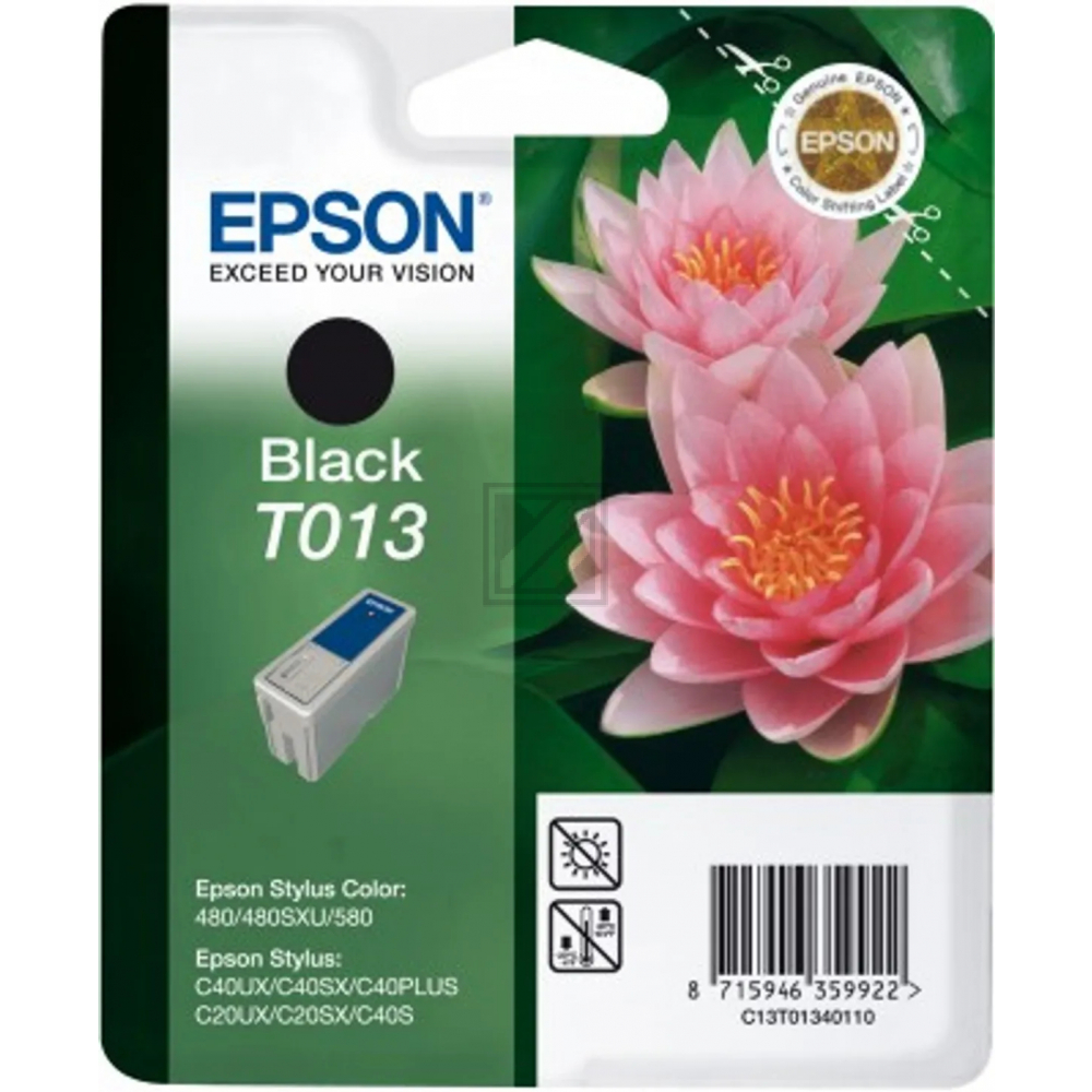 Original Epson C13T01340110 / T013 Tinte Schwarz