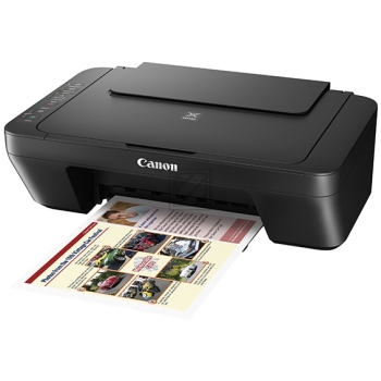 Canon Pixma MG 3000 (grey)