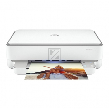 Hewlett Packard (HP) Envy 6020
