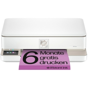 Hewlett Packard (HP) Envy 6132 e