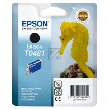 Original Epson C13T04814010 / T0481 Tinte Schwarz